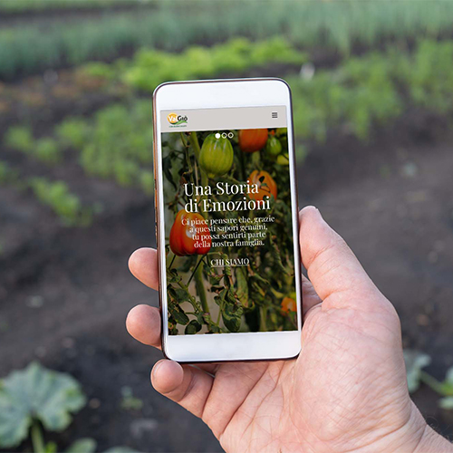 Realizzazione Ecommerce per Azienda Agricola
