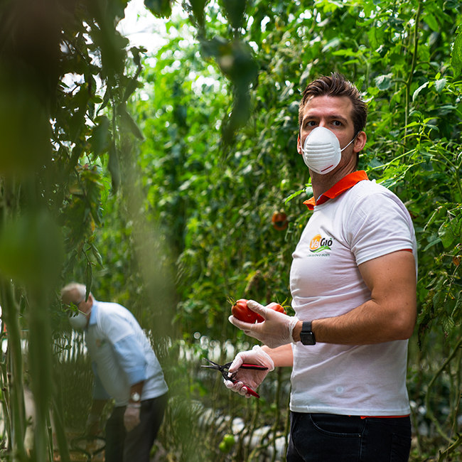 servizio-fotografico-per-aziende-agricoli-e-lavoratori Servizi fotografici per aziende agricole
